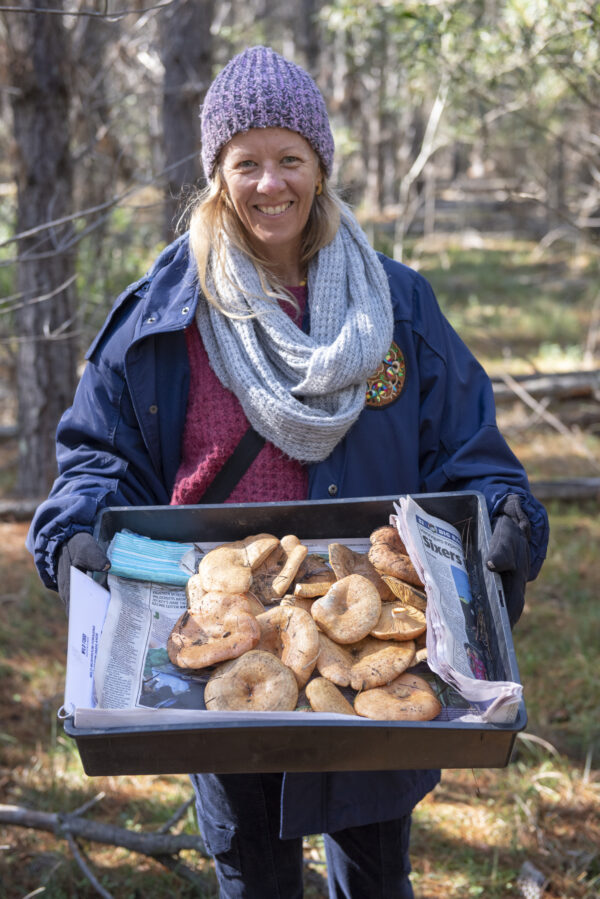 Mushroom Foraging Destination Southern Highlands