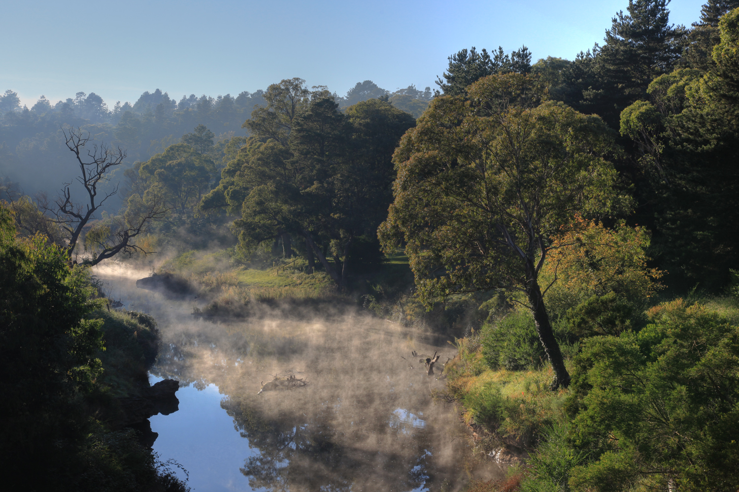 Berrima River Reserve Camping Destination Southern Highlands