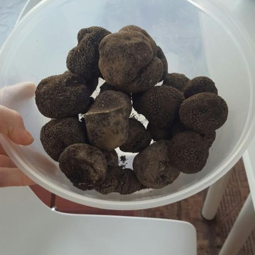 Elvesgate Organic Truffle Destination Southern Highlands