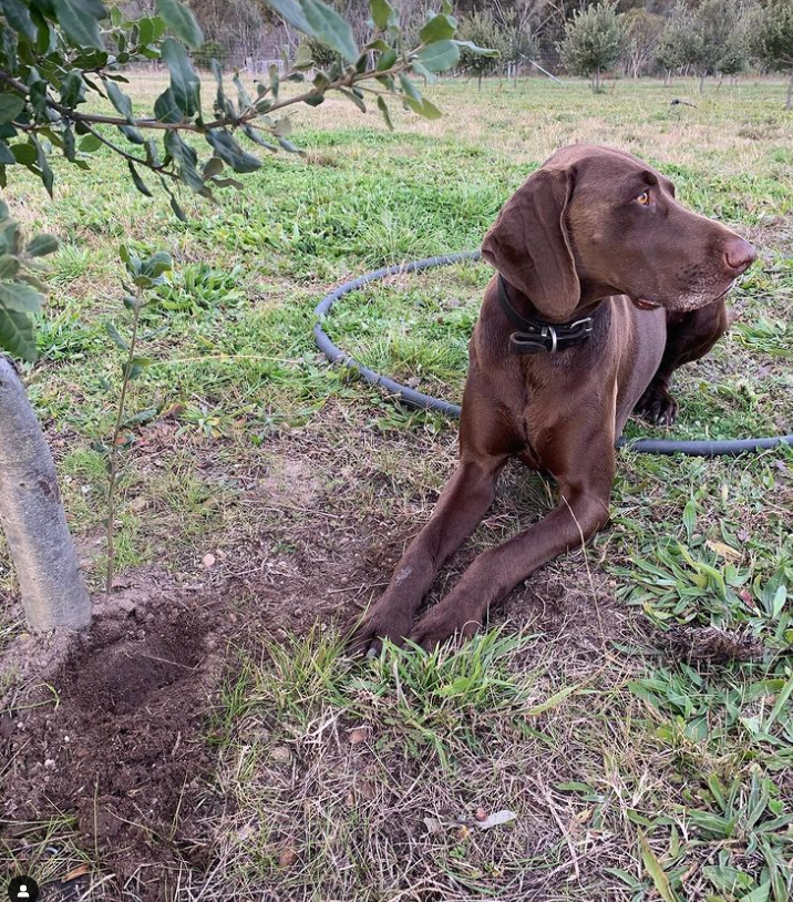 The Truffle Barn Destination Southern Highlands