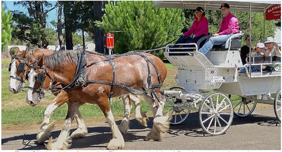 Berrima Clydesdale Carriage Rides Destination Southern Highlands